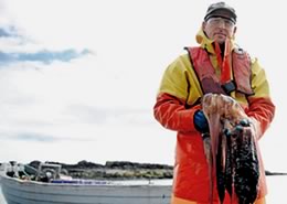 Usan Salmon Fisheries Latest News Jellyfish